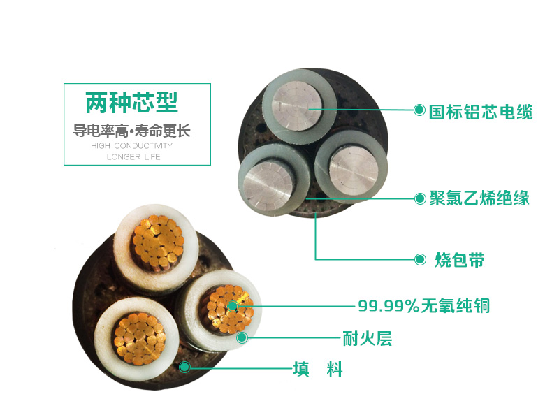 聚氯乙烯絕緣電力電纜(3)